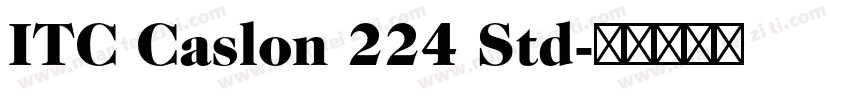 ITC Caslon 224 Std字体转换